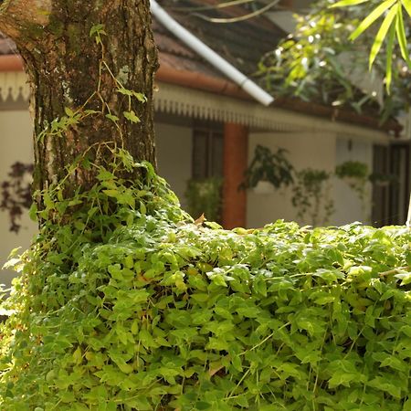 Mi Casa Tu Casa Homestay Kochi Kültér fotó